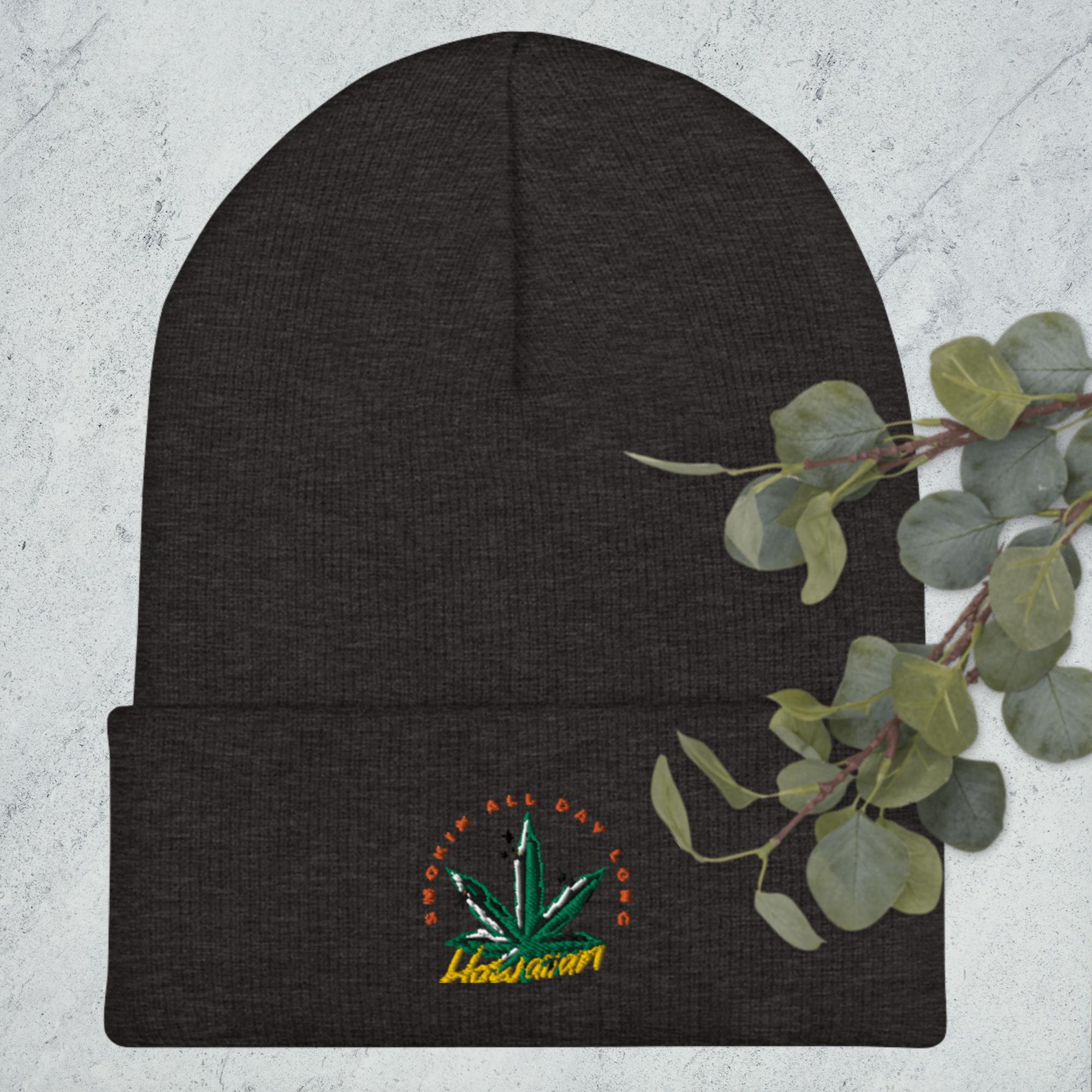Cuffed Beanie