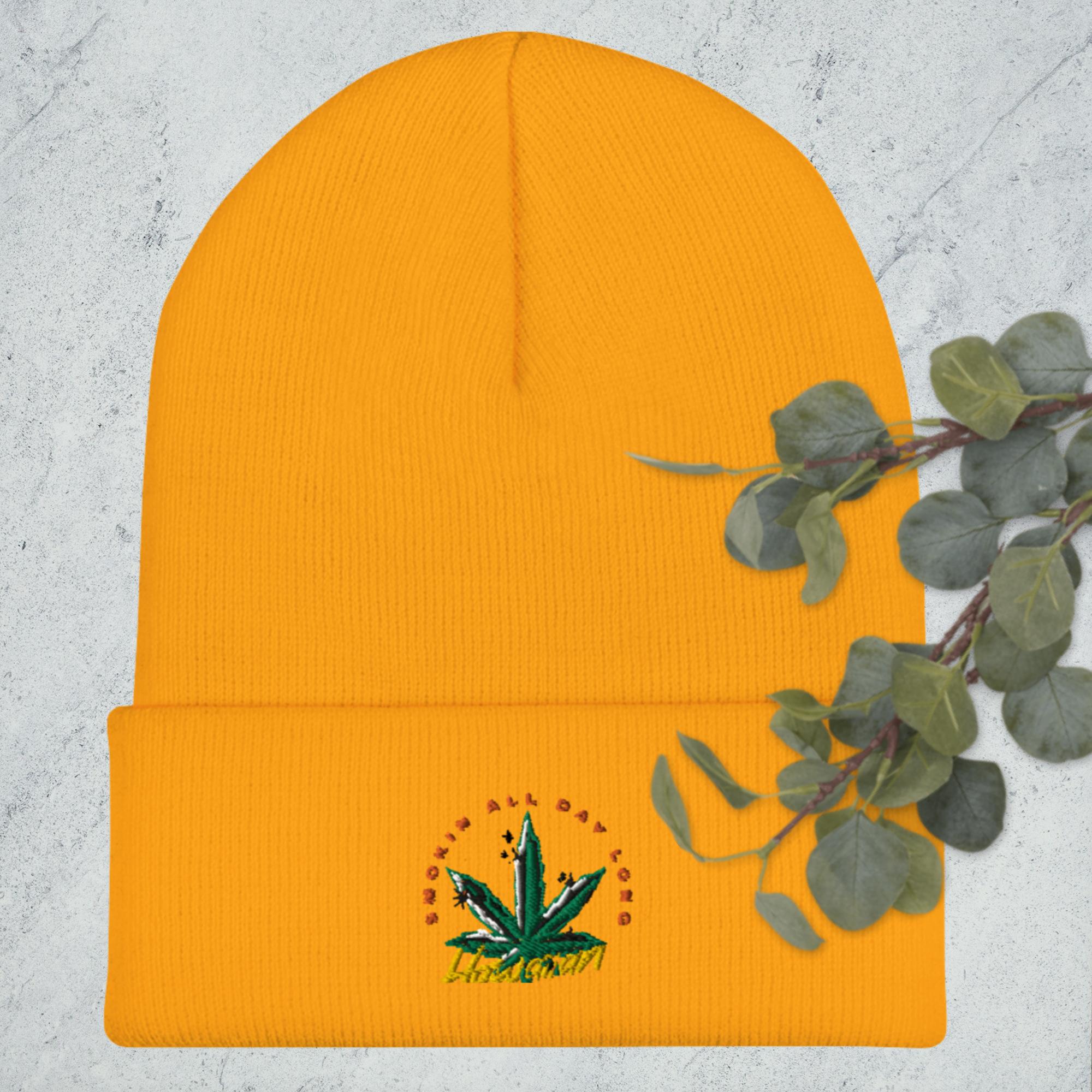 Cuffed Beanie