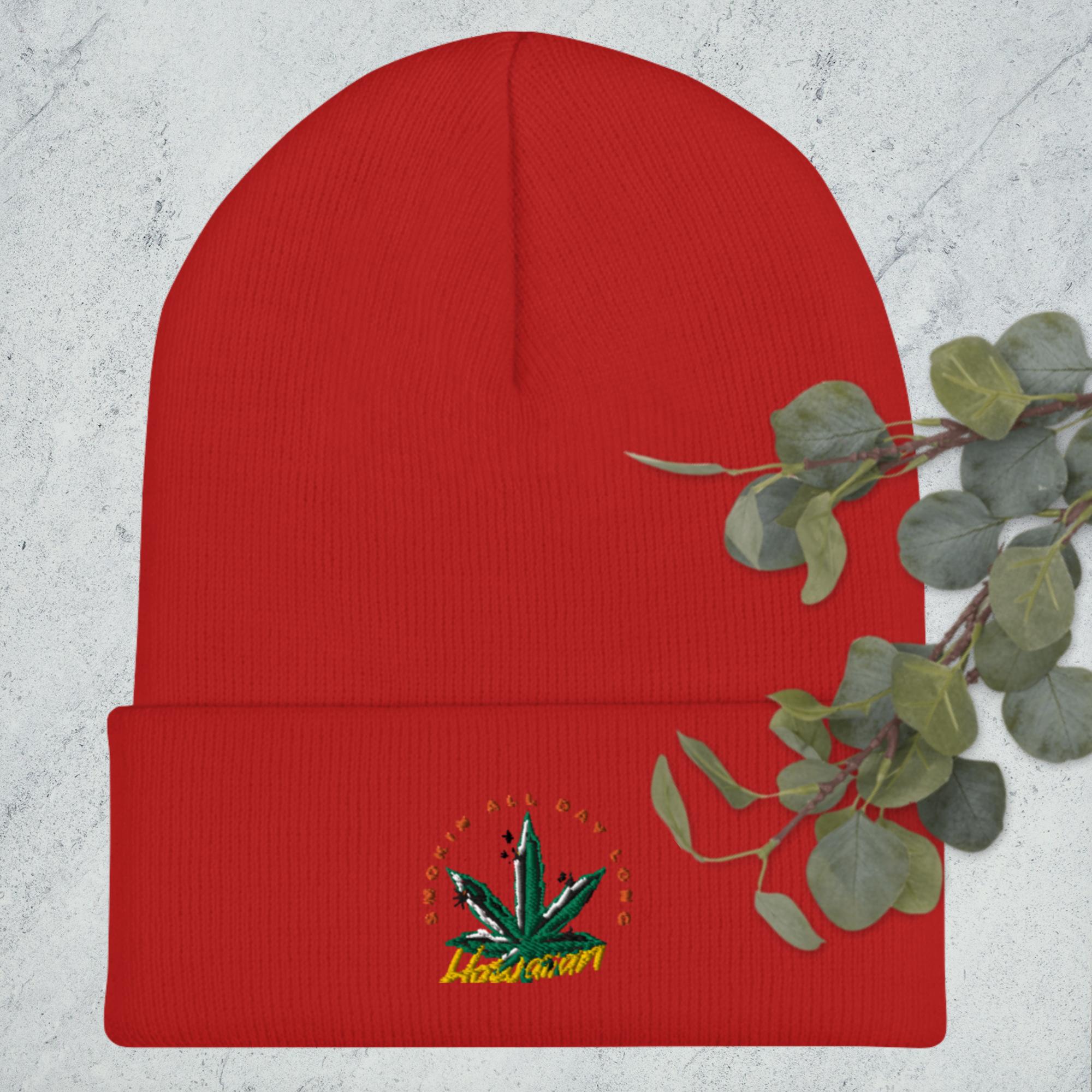 Cuffed Beanie