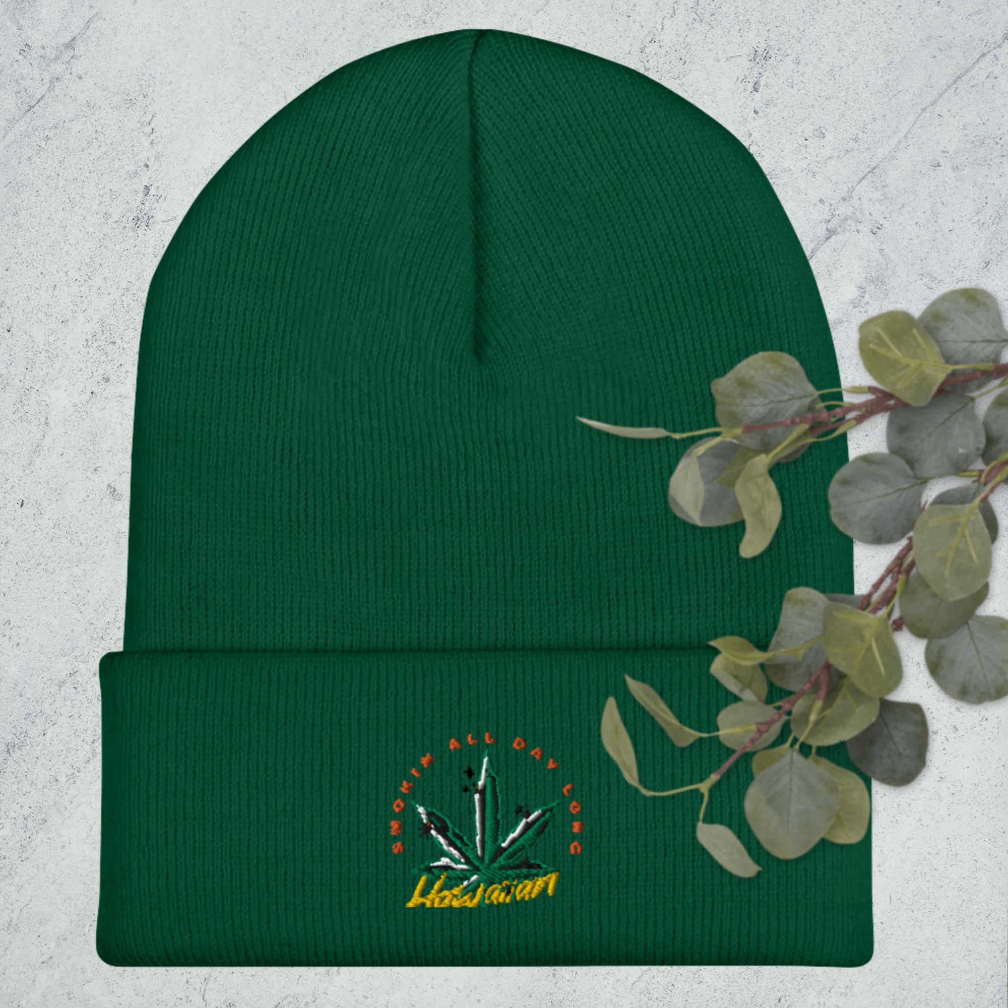 Cuffed Beanie